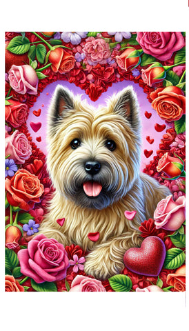 Cairn Terrier Wheat - Best of Breed DCR Valentines Day Outdoor House and Garden Flag