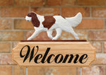 Cavalier King Charles Blenheim - Michael Park Collection Dog in Gait Welcome Stake