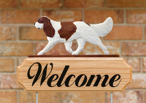 Cavalier King Charles Blenheim - Michael Park Collection Dog in Gait Welcome Stake