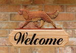 Cavalier King Charles Ruby - Michael Park Collection Dog in Gait Welcome Stake