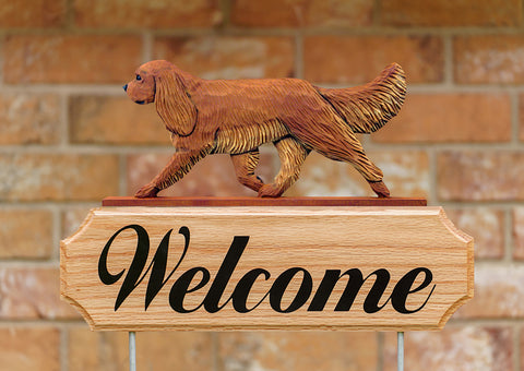 Cavalier King Charles Ruby - Michael Park Collection Dog in Gait Welcome Stake