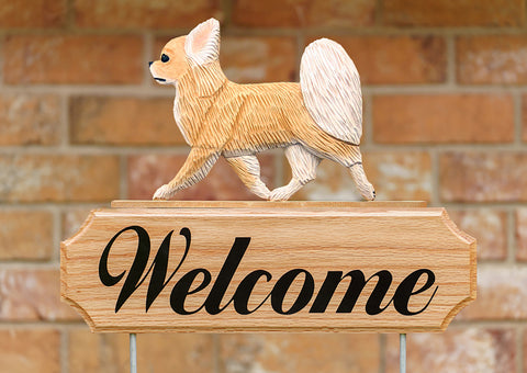 Chihuahua Longhaired Longhaired Fawn - Michael Park Collection Dog in Gait Welcome Stake