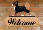 Chihuahua Longhaired Tri - Michael Park Collection Dog in Gait Welcome Stake