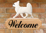 Chihuahua Longhaired White - Michael Park Collection Dog in Gait Welcome Stake