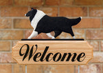 Collie Bi Black -  Michael Park Collection Dog in Gait Welcome Stake