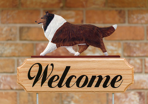 Collie Sable -  Michael Park Collection Dog in Gait Welcome Stake