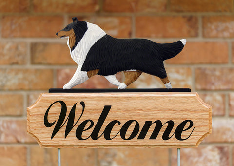 Collie Tri -  Michael Park Collection Dog in Gait Welcome Stake