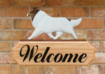 Collie White -  Michael Park Collection Dog in Gait Welcome Stake