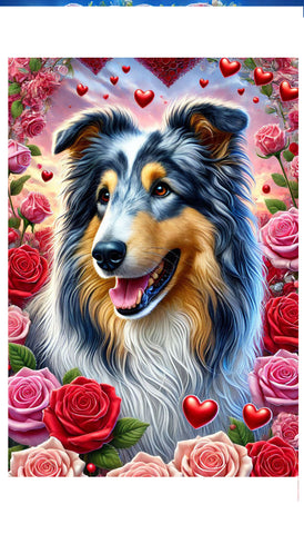 Collie Blue Merle -  Best of Breed DCR Valentines Day Outdoor House and Garden Flag