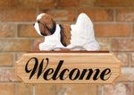 Coton De Tulear Tri -  Michael Park Collection Dog in Gait Welcome Stake