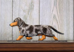 Dachshund Smooth Blue Dapple - Michael Park Collection Dog in Gait Toppers