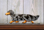 Dachshund Longhair Blue Dapple - Michael Park Collection Dog in Gait Toppers