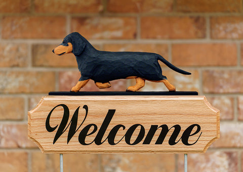 Dachshund Black and Tan -  Michael Park Collection Dog in Gait Welcome Stake