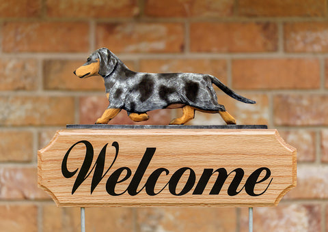 Dachshund Blue Merle -  Michael Park Collection Dog in Gait Welcome Stake