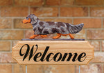 Dachshund Longhaired Red Merle -  Michael Park Collection Dog in Gait Welcome Stake