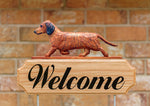 Dachshund Red Brindle -  Michael Park Collection Dog in Gait Welcome Stake