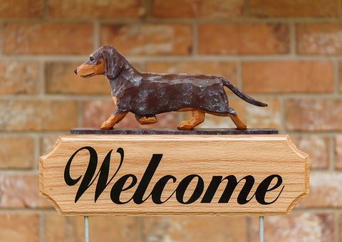 Dachshund Red Merle -  Michael Park Collection Dog in Gait Welcome Stake