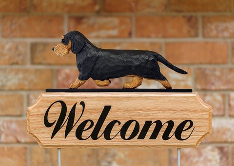 Dachshund Wirehaired Black and Tan -  Michael Park Collection Dog in Gait Welcome Stake