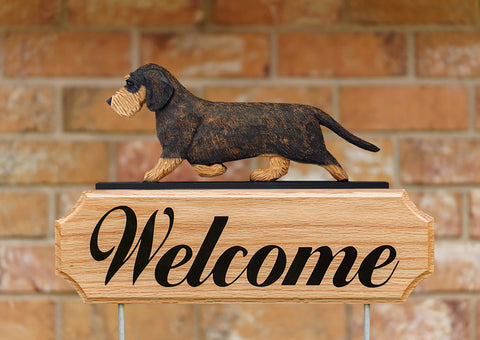 Dachshund Wirehaired Wild Boar -  Michael Park Collection Dog in Gait Welcome Stake