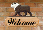 English Bulldog Brindle and White -  Michael Park Collection Dog in Gait Welcome Stake