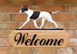 English Pointer Liver -  Michael Park Collection Dog in Gait Welcome Stake