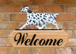 English Setter Blue Belton -  Michael Park Collection Dog in Gait Welcome Stake