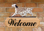 English Setter Liver Belton -  Michael Park Collection Dog in Gait Welcome Stake