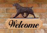 Field Spaniel Brown -  Michael Park Collection Dog in Gait Welcome Stake