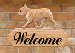 French Bulldog Fawn -  Michael Park Collection Dog in Gait Welcome Stake