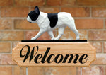 French Bulldog Pied -  Michael Park Collection Dog in Gait Welcome Stake