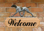 German Shorthaired Pointer Liver Roan -  Michael Park Collection Dog in Gait Welcome Stake