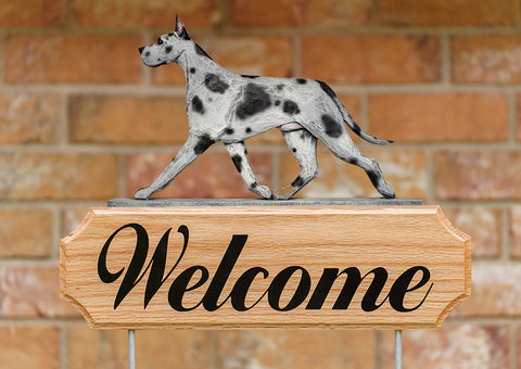 Great Dane Blue Merle - Michael Park Collection Dog in Gait Welcome Stake