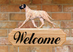 Great Dane Natural Ears Brindle -  Michael Park Collection Dog in Gait Welcome Stake