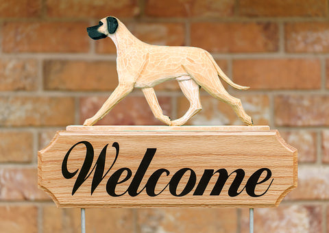 Great Dane Natural Ears Fawn -  Michael Park Collection Dog in Gait Welcome Stake