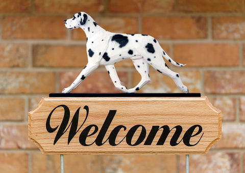 Great Dane Natural Ears Harlequin -  Michael Park Collection Dog in Gait Welcome Stake