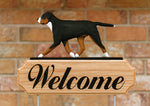 Greater Swiss Mountain Dog -  Michael Park Collection Dog in Gait Welcome Stake