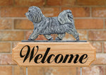 Havanese Light Grey - Michael Park Collection Dog in Gait Welcome Stake