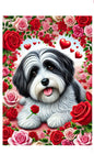 Havanese Black and White- Best of Breed DCR Valentines Day Outdoor House and Garden Flag