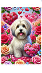 Havanese Cream- Best of Breed DCR Valentines Day Outdoor House and Garden Flag