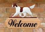 Irish Setter Red and White - Michael Park Collection Dog in Gait Welcome Stake