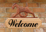 Irish Terrier - Michael Park Collection Dog in Gait Welcome Stake