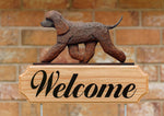 Irish Water Spaniel - Michael Park Collection Dog in Gait Welcome Stake