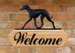 Italian Greyhound Black - Michael Park Collection Dog in Gait Welcome Stake