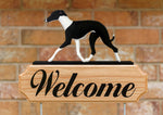 Italian Greyhound Black and White - Michael Park Collection Dog in Gait Welcome Stake