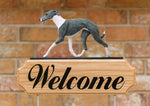 Italian Greyhound Blue and White - Michael Park Collection Dog in Gait Welcome Stake