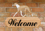 Italian Greyhound Fawn and White - Michael Park Collection Dog in Gait Welcome Stake