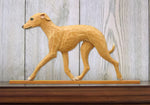 Italian Greyhound Fawn - Michael Park Collection Dog in Gait Toppers