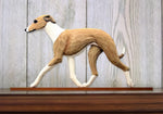 Italian Greyhound Fawn/White - Michael Park Collection Dog in Gait Toppers