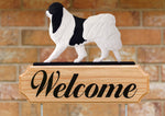 Japanese Chin Black  - Michael Park Collection Dog in Gait Welcome Stake