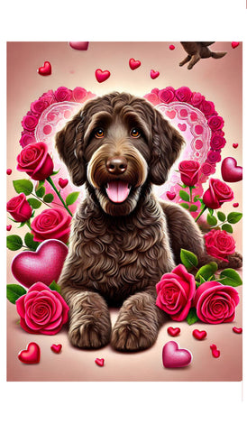 Labradoodle Chocolate -  Best of Breed DCR Valentines Day Outdoor House and Garden Flag